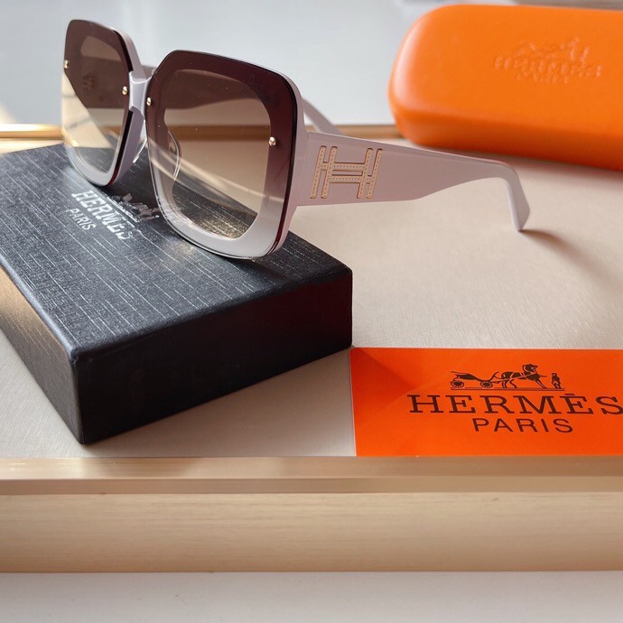 2021 New Hermes Sunglass HJ202150