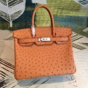 Hermes birkin HJ00051