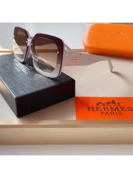 2021 New Hermes Sunglass HJ202150