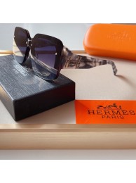 Fake Hermes Sunglass HJ202155
