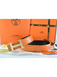 Fake Hermes Belt 2016 New Arrive - 183 RS20430