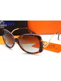 Hermes Sunglasses 18 RS14195