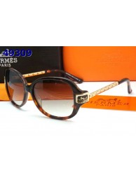 Hermes Sunglasses 34 Sunglasses RS09296