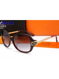 Hermes Sunglasses 35 RS21685