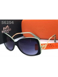 Hermes Sunglasses - 88 RS20510