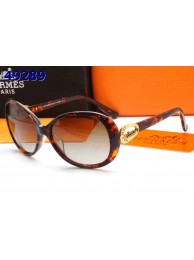 Hot Hermes Sunglasses 14 RS11888