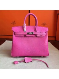 Replica Hermes birkin 25 HJ00765