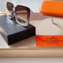 2021 New Hermes Sunglass HJ202150