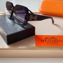 Replica Hermes Sunglass HJ202157