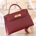 Hermes Ruby Epsom Kelly Mini II 20cm Handmade Bags HJ202111