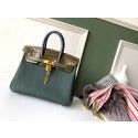 Best Hermes Birkin 25 HJ00795