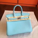 Hermes birkin 25 HJ00085