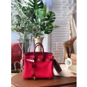 Hermes Birkin 25 HJ00846