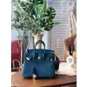 Hermes Birkin 25 HJ00994