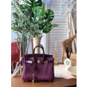 Hermes Birkin 25 HJ01012