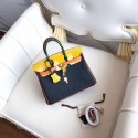 Hermes Birkin 25 HJ01110