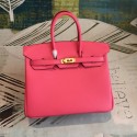 Hermes birkin HJ00278