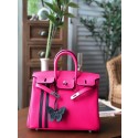Hot Knockoff Hermes birkin 25 HJ01264