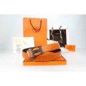 Knockoff Hermes Belt - 295 RS19921