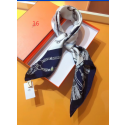 Replica Hermes Scarf HJ00843