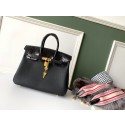 Replica Hermes Birkin 25 HJ00303