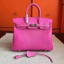 Replica Hermes birkin 25 HJ00765