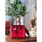 Hermes Birkin 25 HJ00846