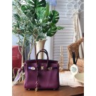 Hermes Birkin 25 HJ01012