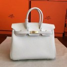 Hermes birkin 25 HJ01139