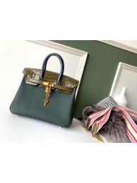 Best Hermes Birkin 25 HJ00795