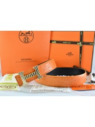 Fashion Replica Hermes Belt 2016 New Arrive - 171 RS16675