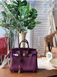 Hermes Birkin 25 HJ01012