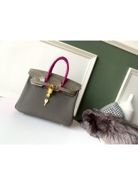 Hermes Birkin 25 HJ01119