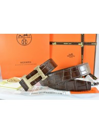 Replica Hermes Belt 2016 New Arrive - 290 RS16097