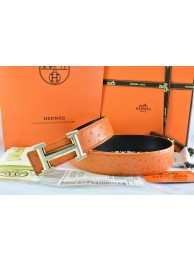 Top Fake Hermes Belt 2016 New Arrive - 176 RS10670